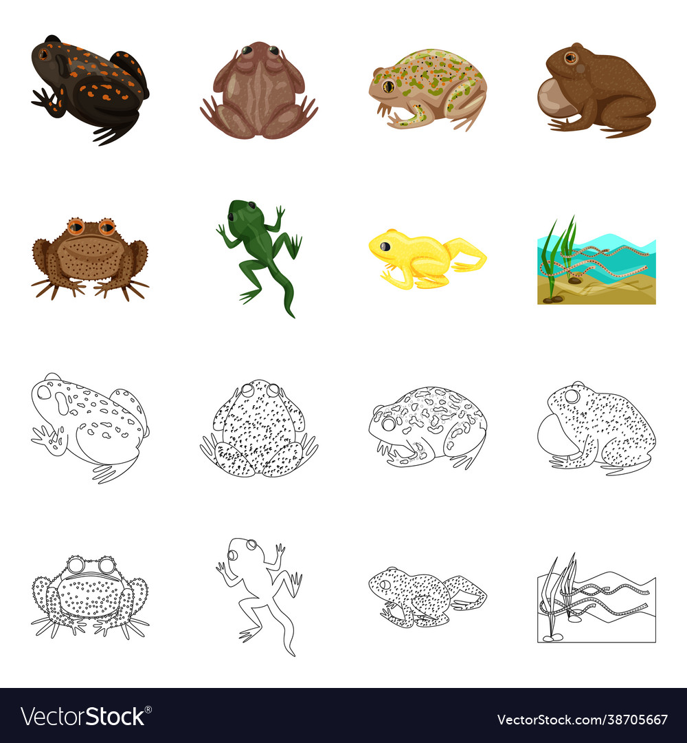 Isolated object wildlife and bog icon set