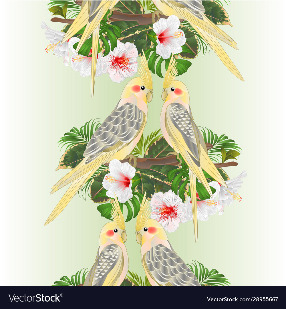Vertical border seamless background parrots vector image Vertical border seamless background parrots