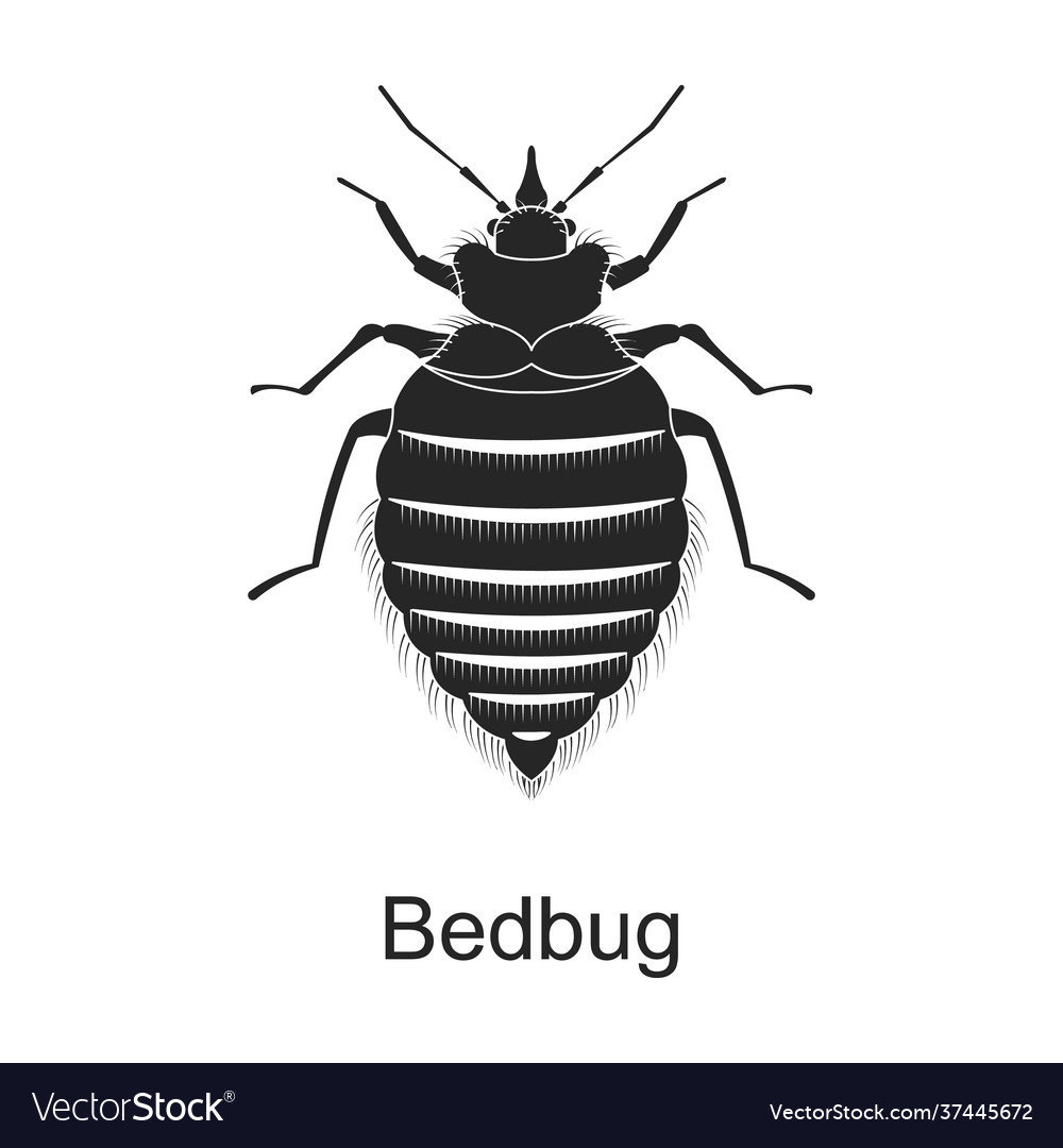 Bedbag black icon pest