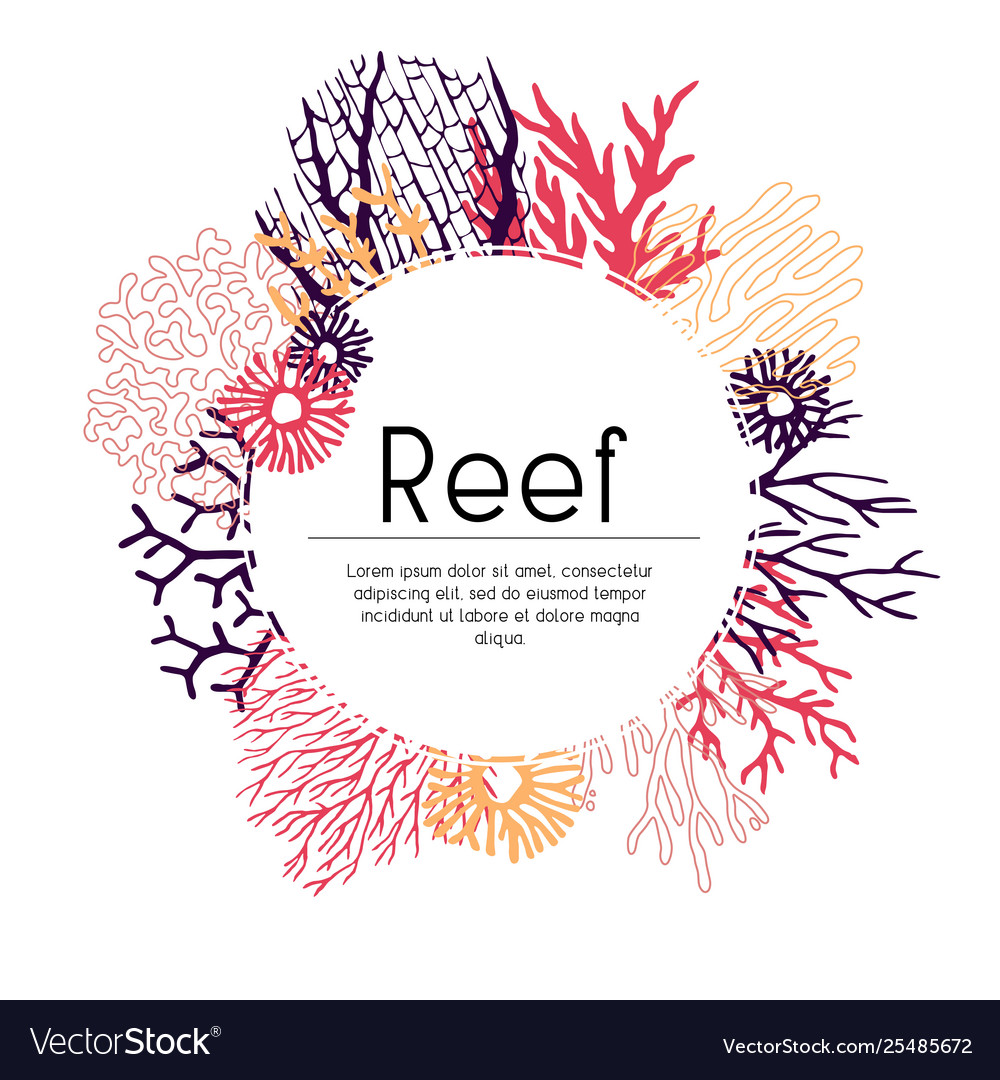 Template seaweed and corals Royalty Free Vector Image