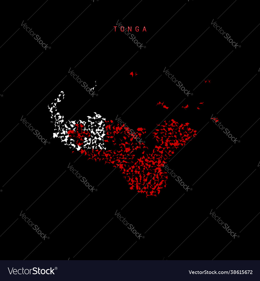 Tonga flag map chaotic particles pattern Vector Image Tonga flag map chaotic particles pattern