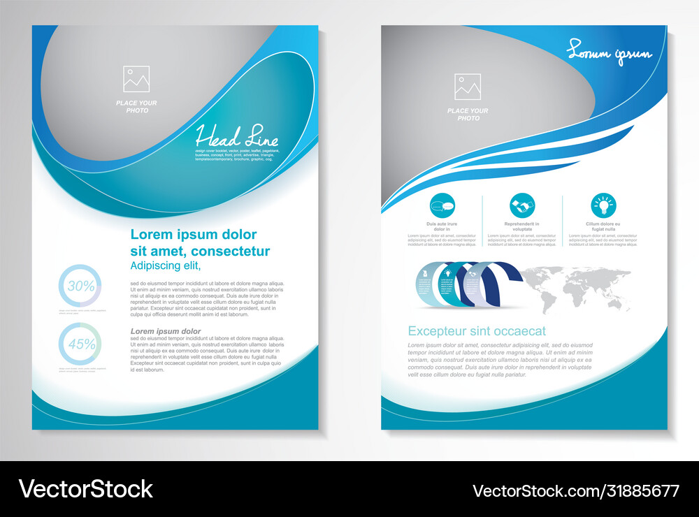Business Flyer & Brochure Template Set Vector Image