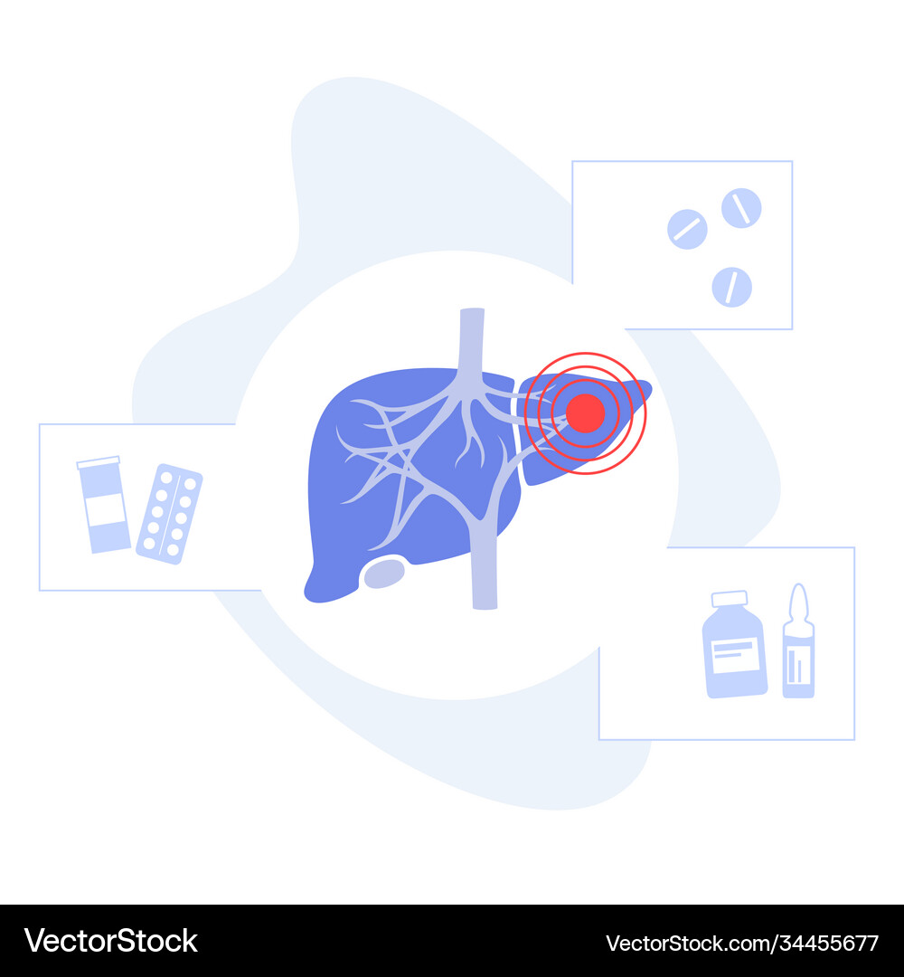 Liver template concept Royalty Free Vector Image