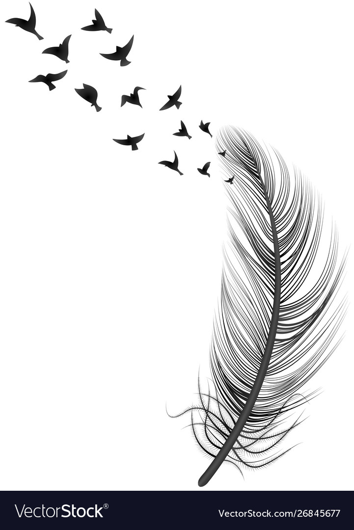 Realistic Feather Bird Royalty Free Vector Image