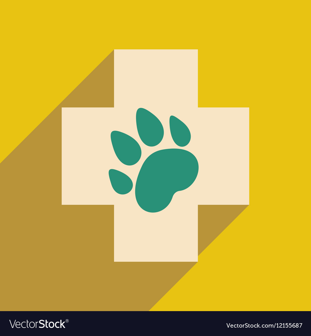 Flat with shadow icon and mobile application