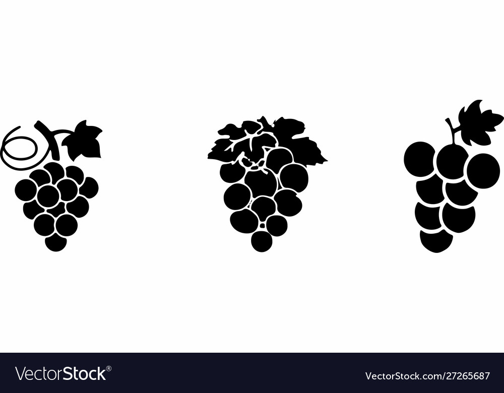 Grape icon on color background
