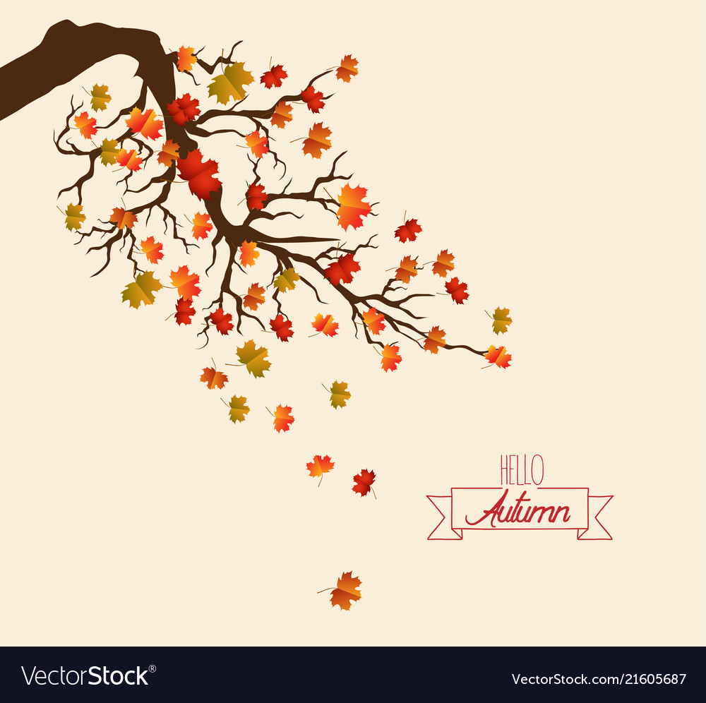 Hello autumn landscape with leaves