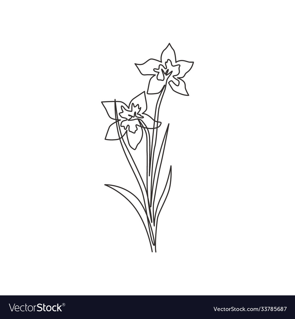 Single Continuous Line Drawing Beauty Fresh Vector Image