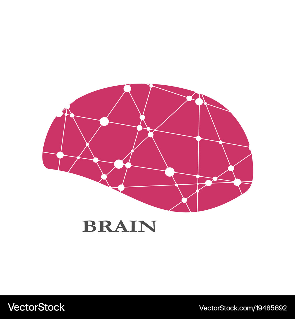 Concept of the human brain Royalty Free Vector Image