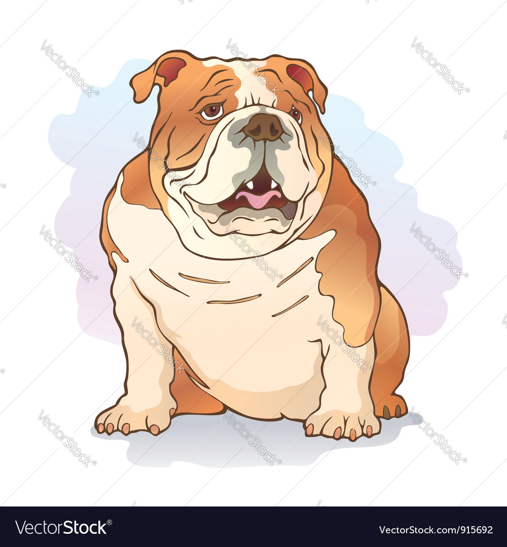 English bulldog Royalty Free Vector Image - VectorStock