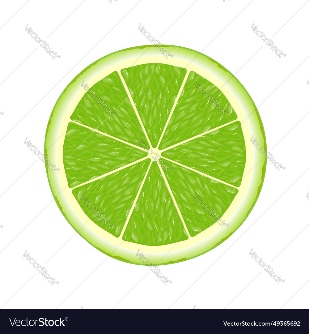 Lime slice for web isolated on white background