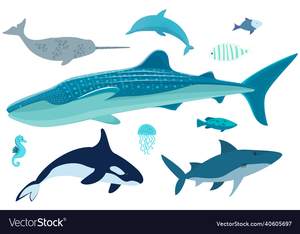 Marine life set wild nature of world ocean fish