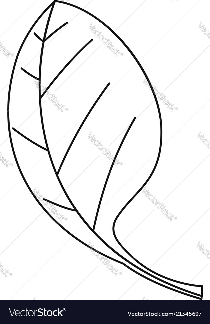 Spinach leave icon outline style Royalty Free Vector Image