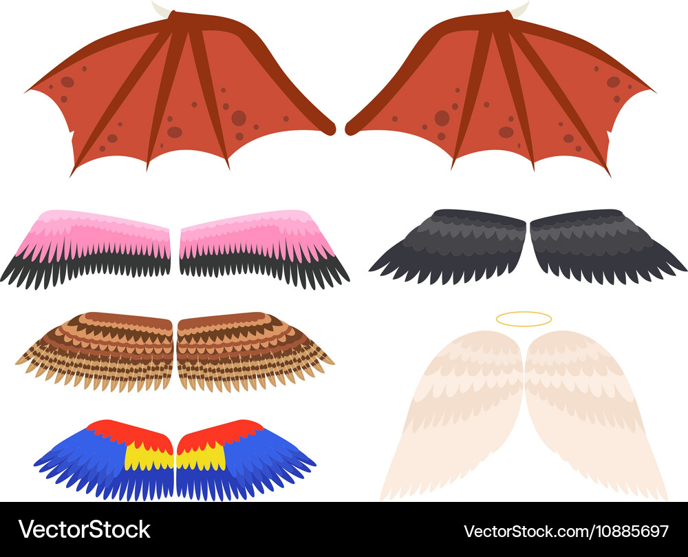 Wings isolated Royalty Free Vector Image - VectorStock
