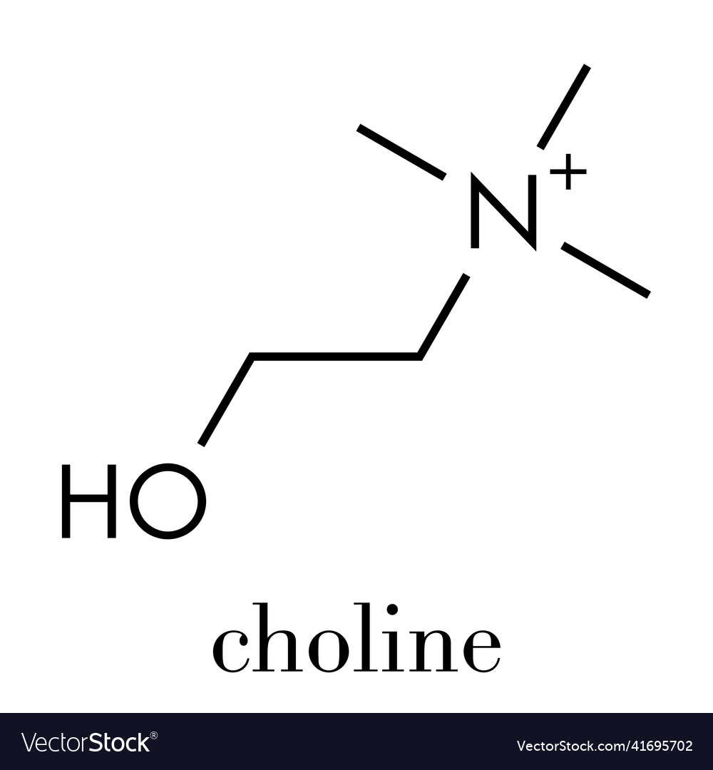 Choline essential nutrient molecule skeletal Vector Image