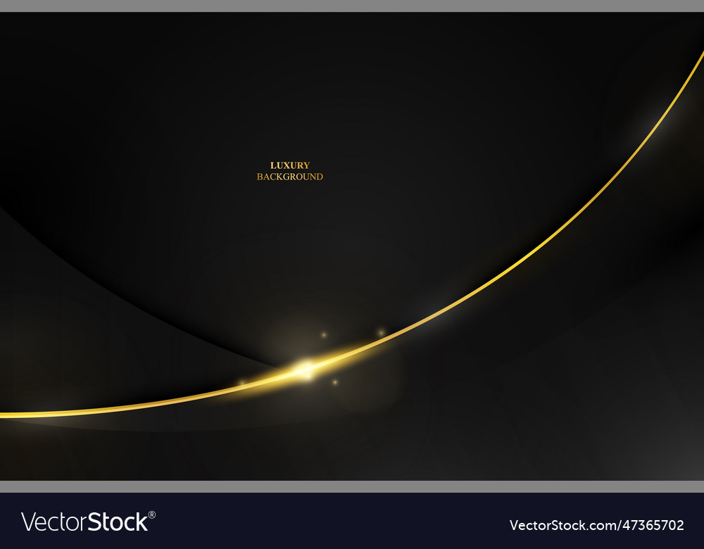 Modern luxury dark banner design with curve Vector Image