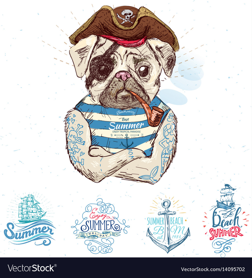 Pirate pug dog