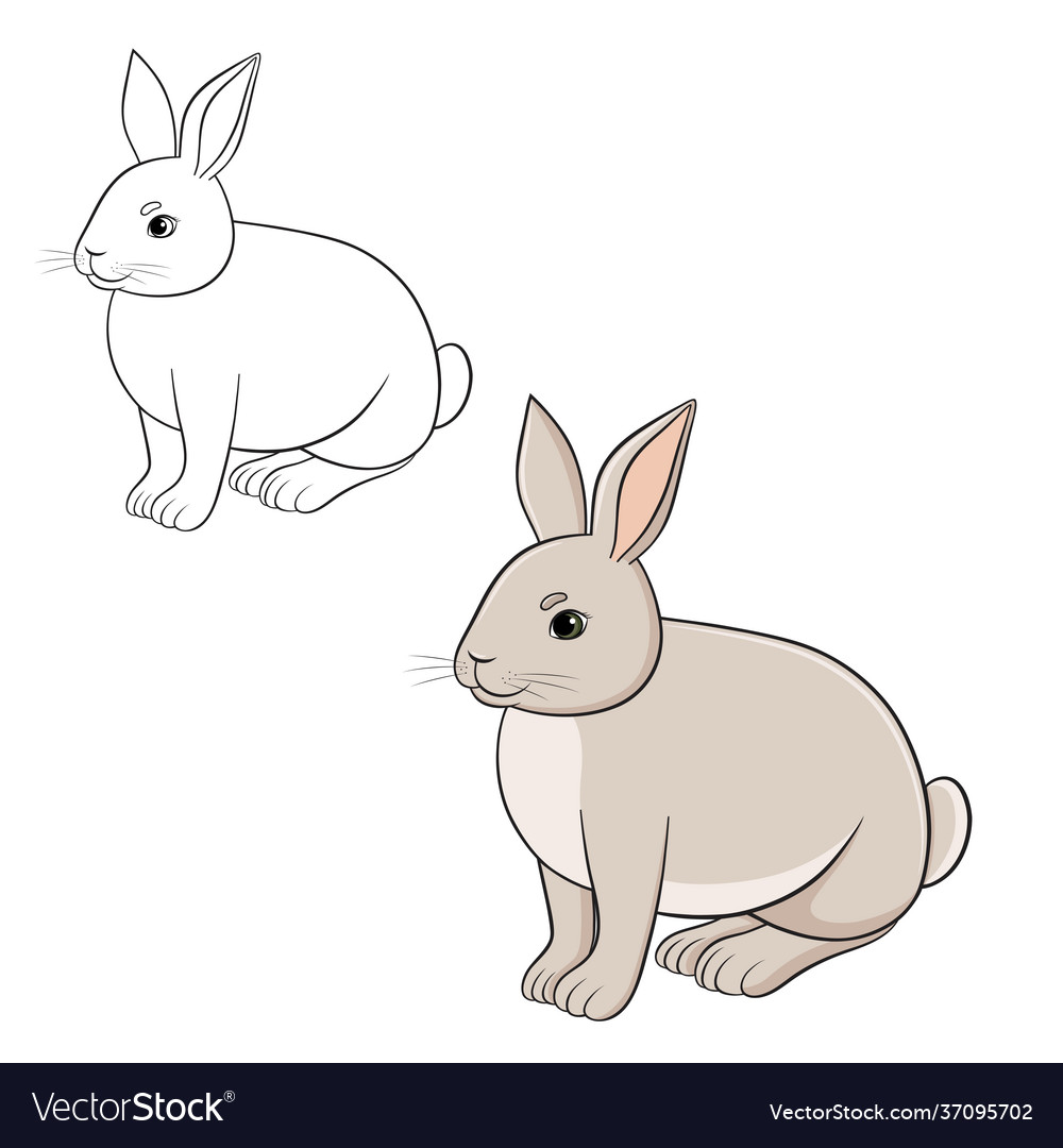 With cute rabbit vector image With cute rabbit