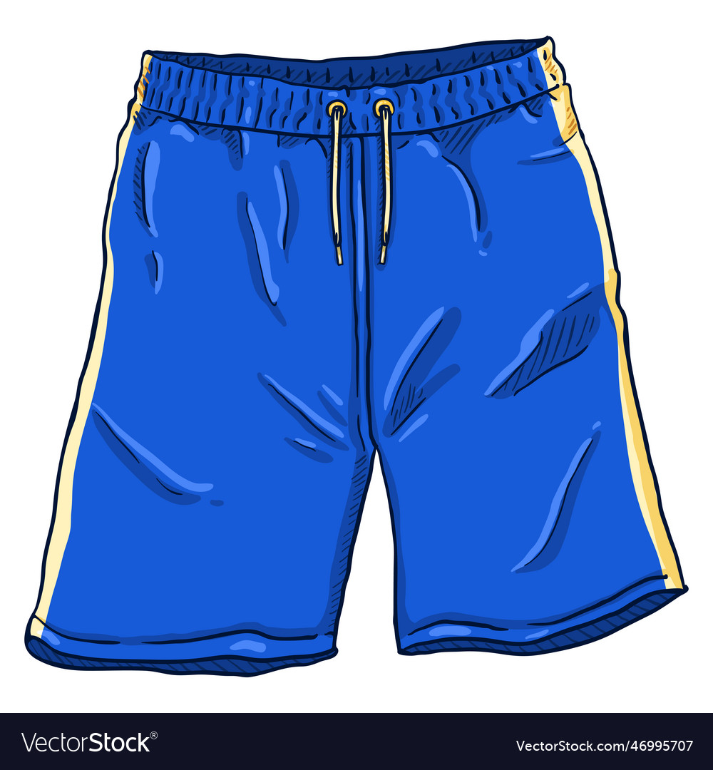 Cartoon blue basketball shorts Royalty Free Vector Image