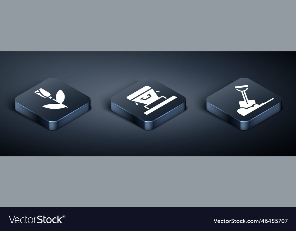 Set isometric flower rose shovel in the ground