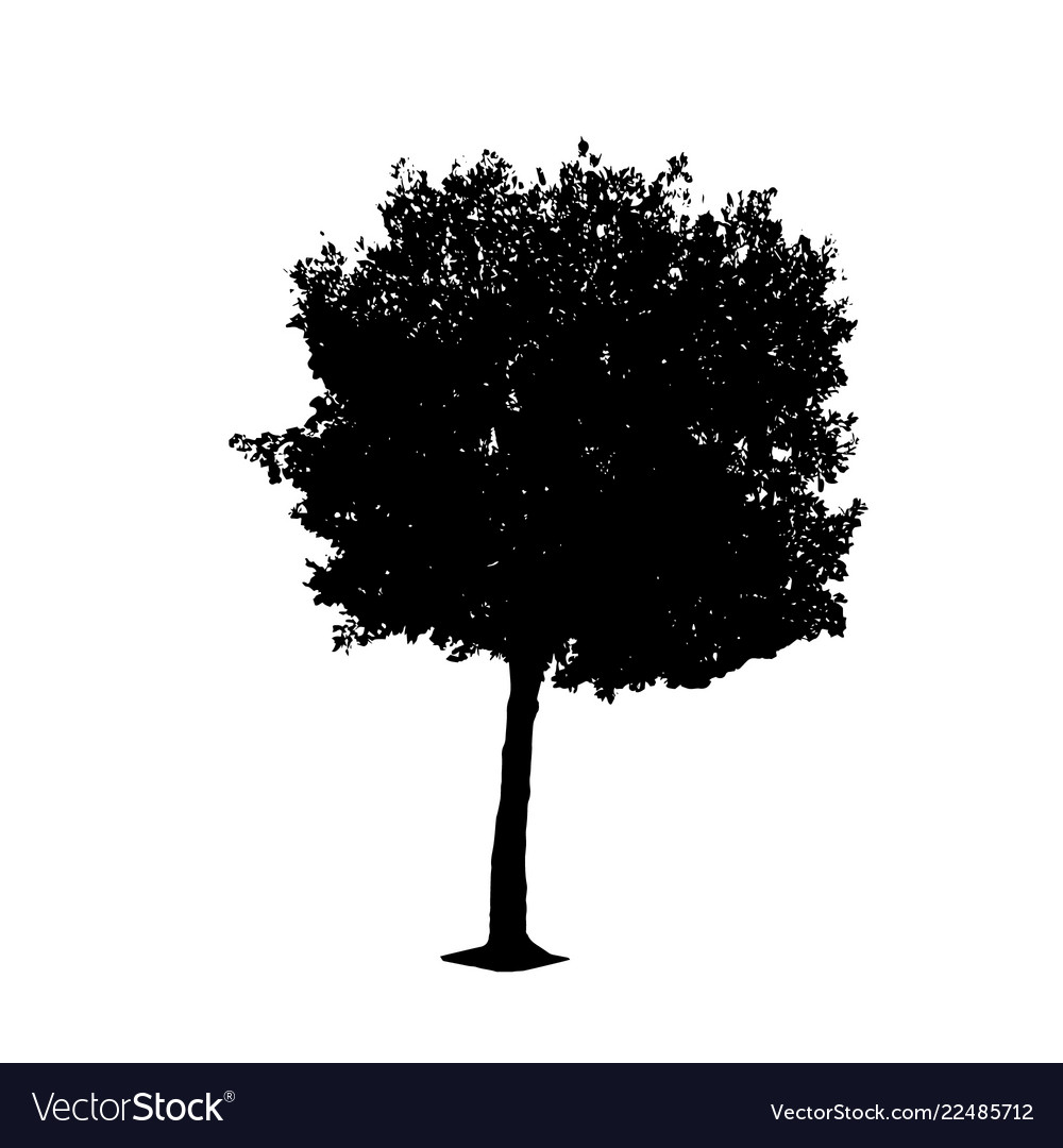 Tree 01 vector image Tree 01