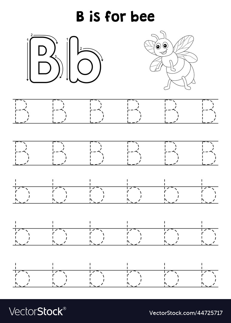 Bee animal tracing letter abc coloring page b vector image Bee animal tracing letter abc coloring page b