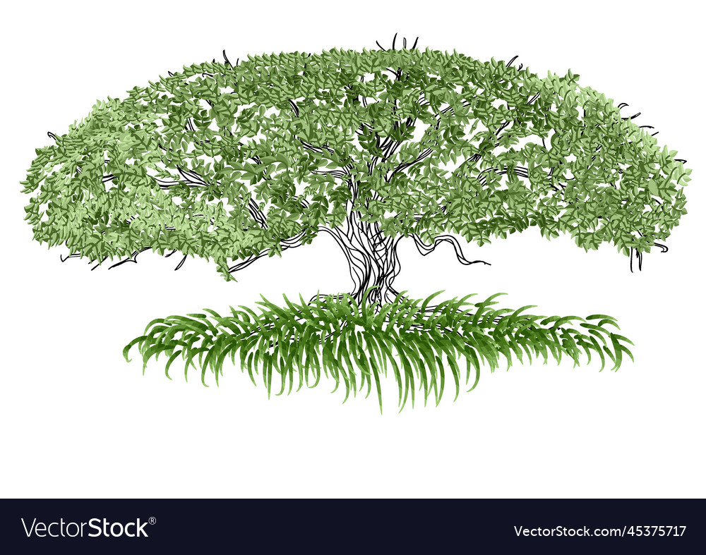 Big tree
