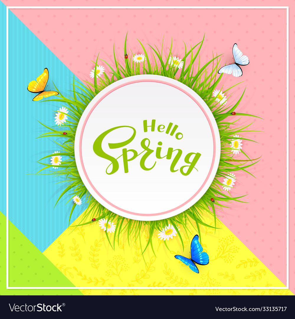 Colorful background and text hello spring Vector Image Colorful background and text hello spring