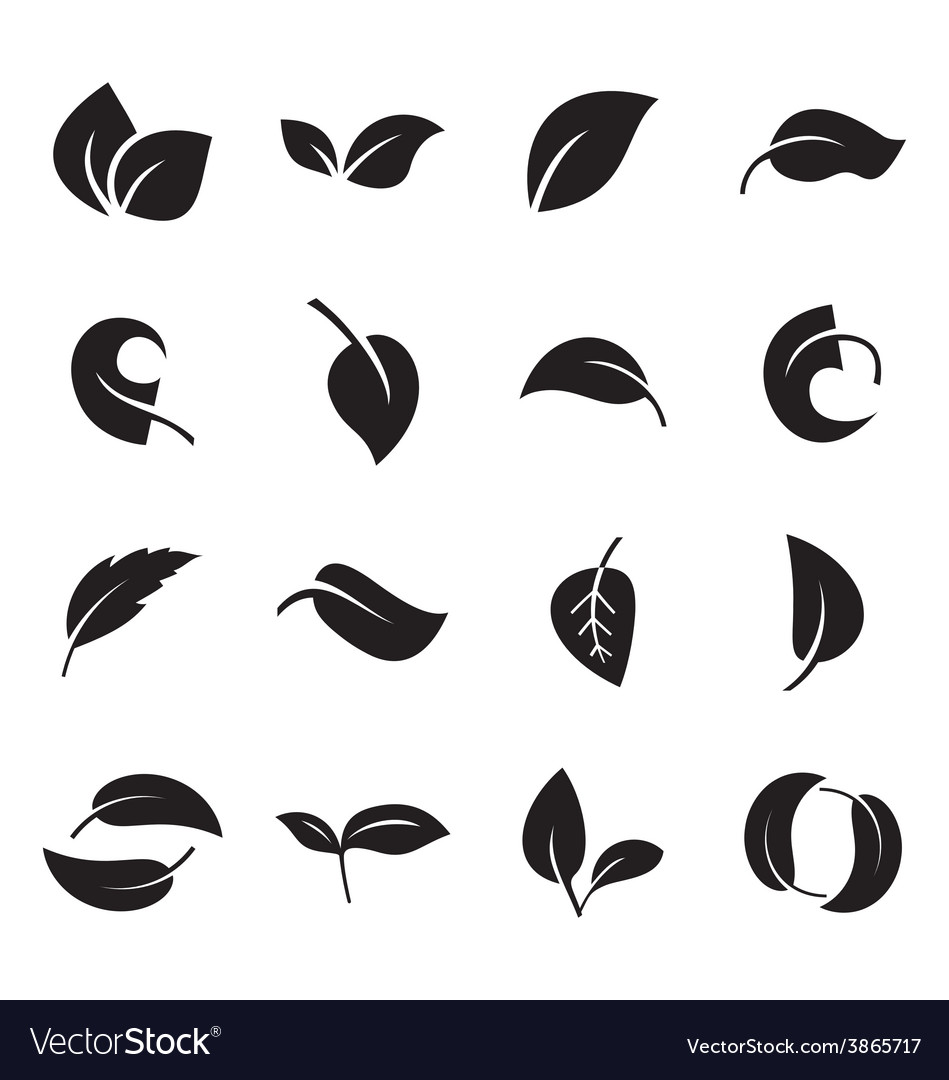 Icons of leaves
