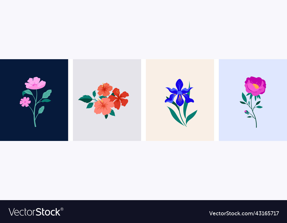 Spring botanical flowers blooming Royalty Free Vector Image