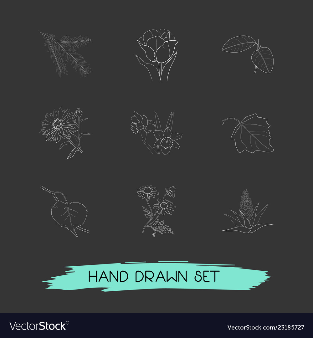 Set of flora icons line style symbols with sequoia Vector Image Set of flora icons line style symbols with sequoia