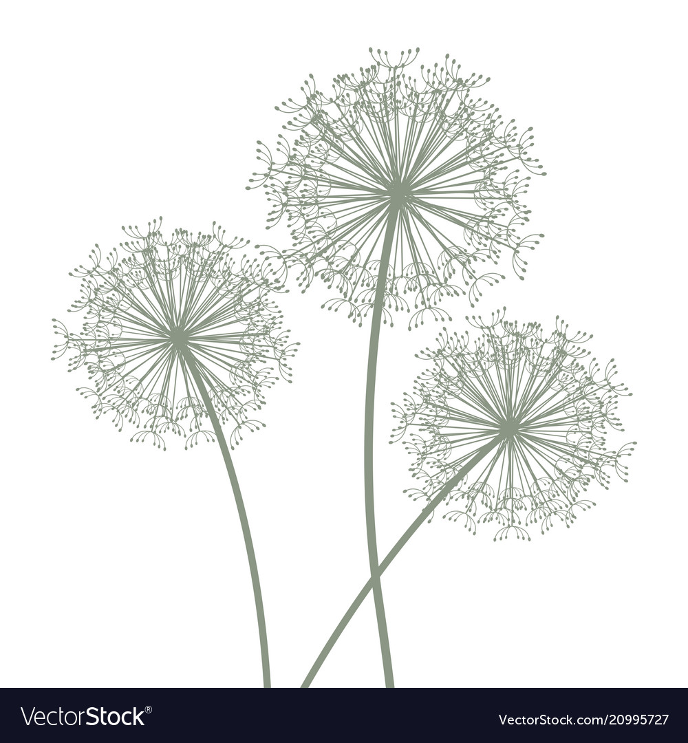 Set of three dandelions