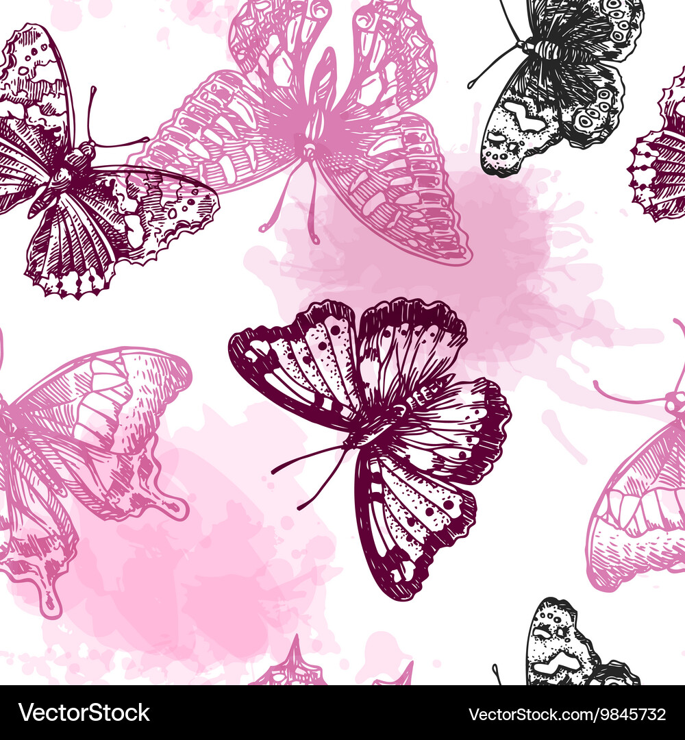 Hand drawn butterflies Royalty Free Vector Image