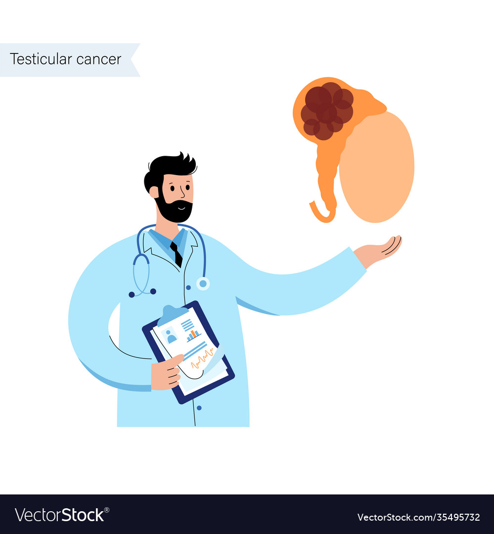 Man reproducive system problems vector image Man reproducive system problems