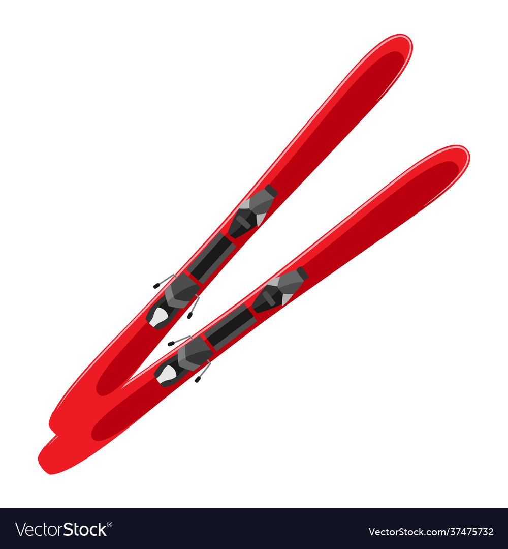 Ski adversting icon for sport vector image Ski adversting icon for sport