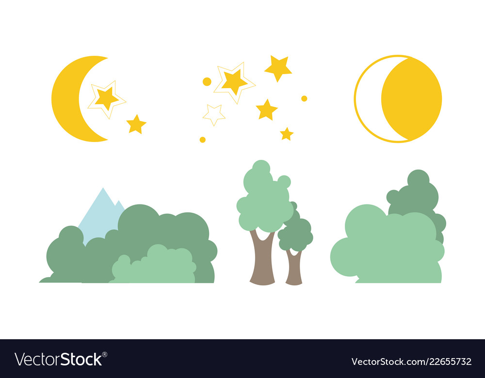 Summer trees moon and stars natural landscape