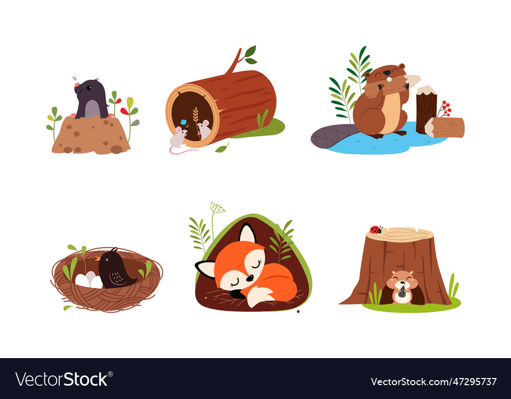 Forest animal in their cozy home and burrow Vector Image