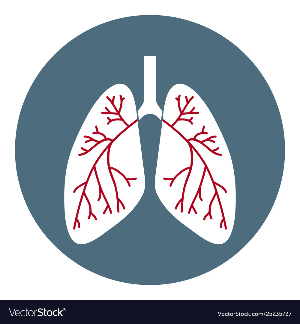 Lungs icon health care symbol isolated on white Vector Image