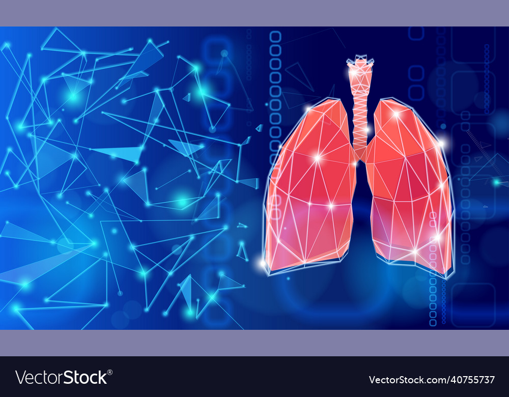 Lungs showing connections using lines vector image Lungs showing connections using lines