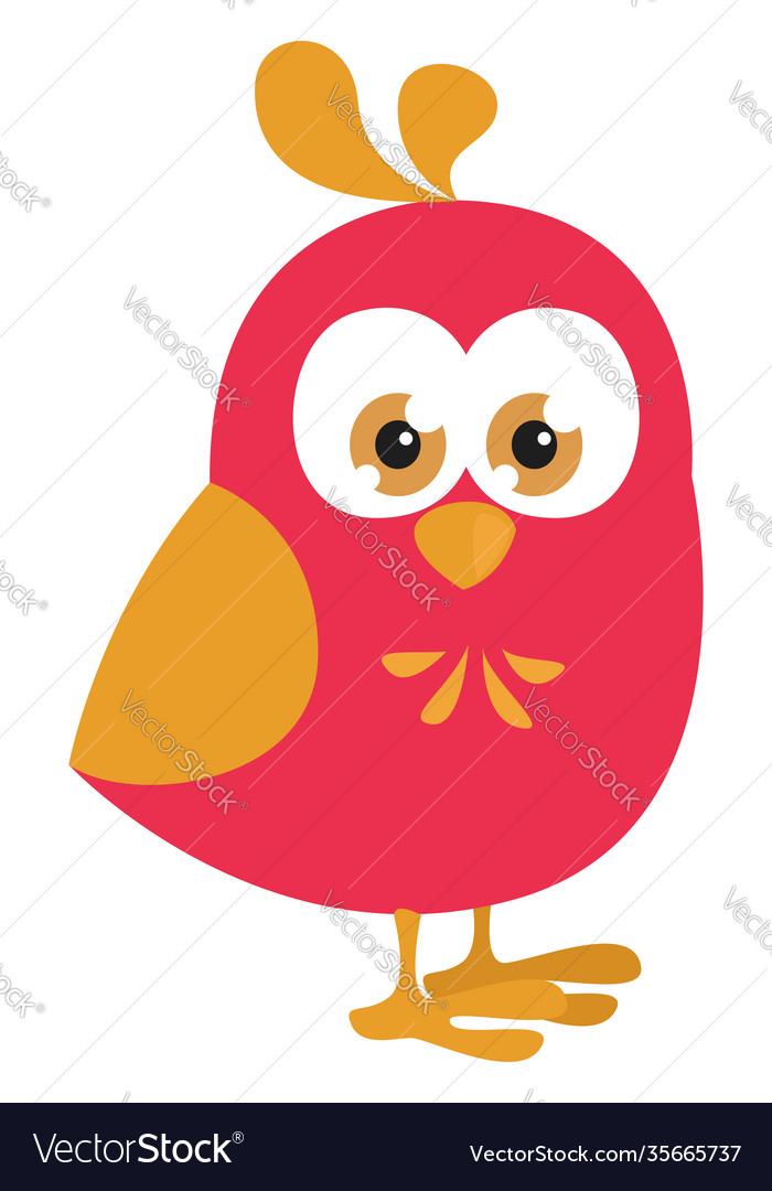 Superhero bird on a white background