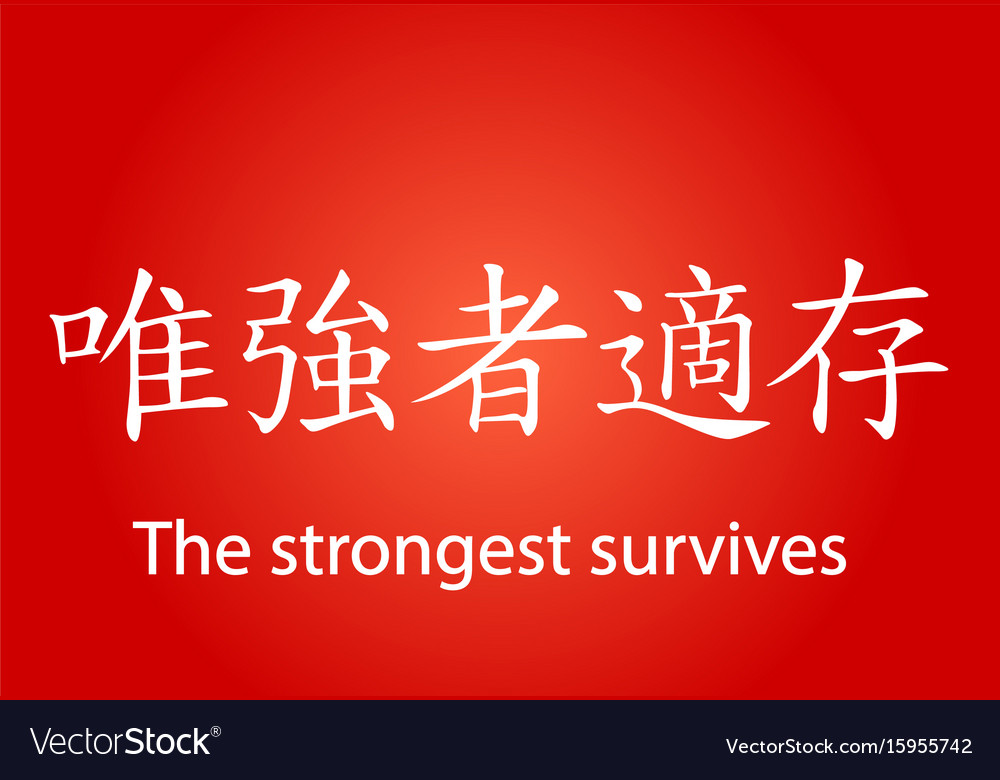 Chinese characters writing with different