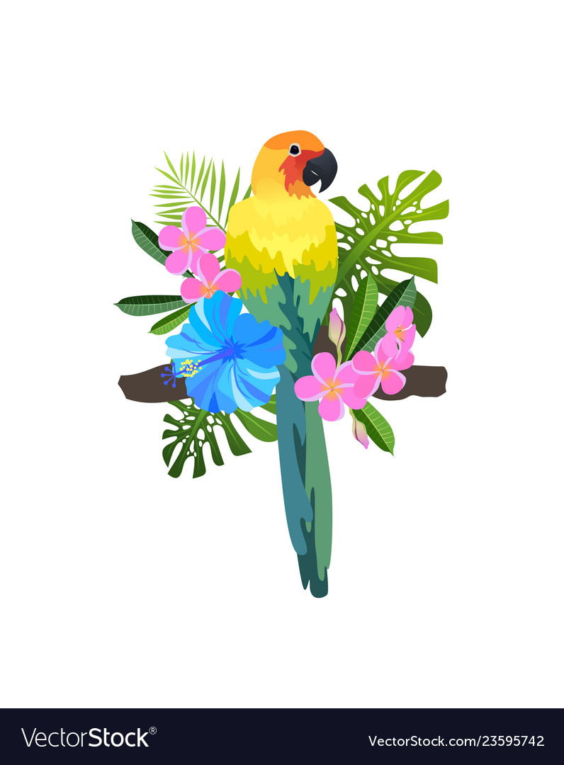 Tropical bird composition
