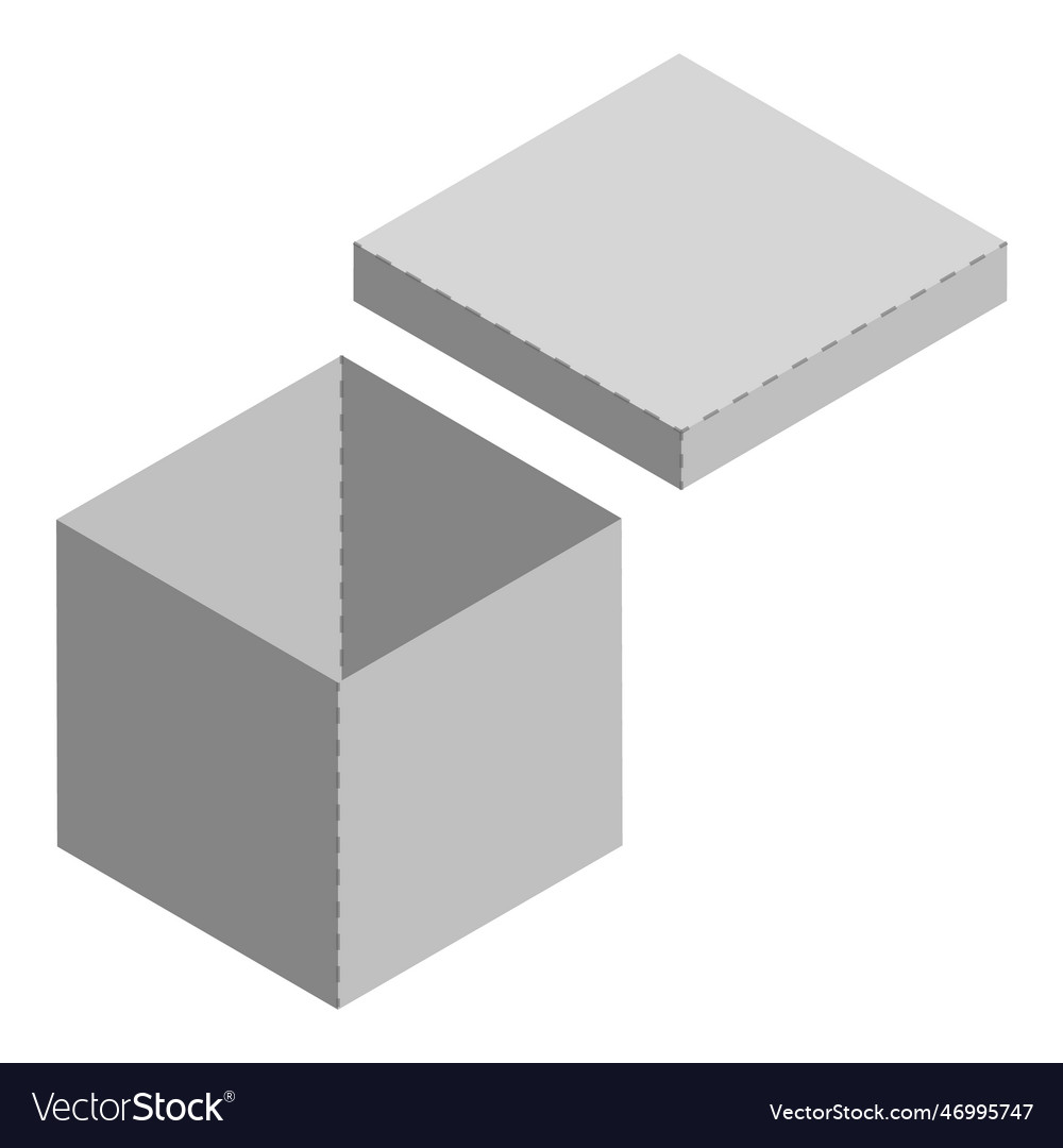 Box model package template layout for new design Vector Image