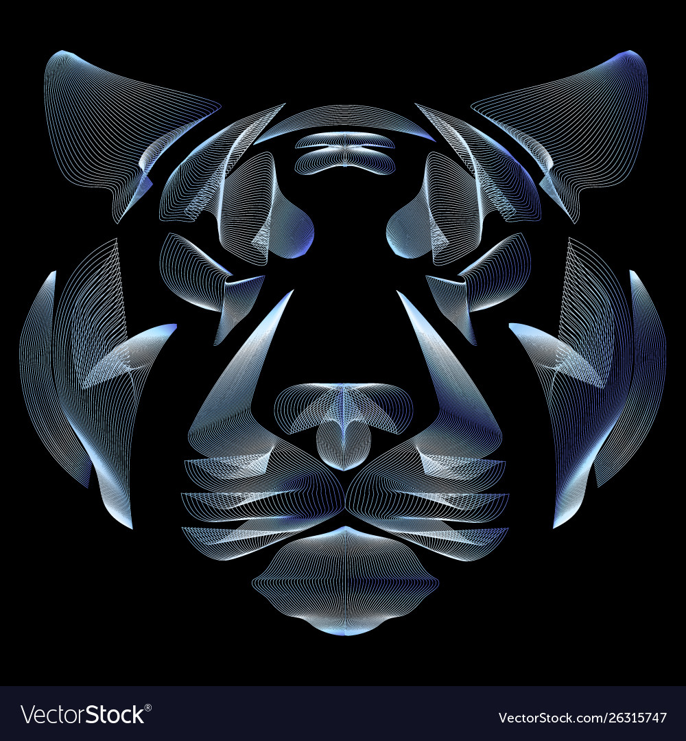 Tiger head linear art silver lines vector image Tiger head linear art silver lines