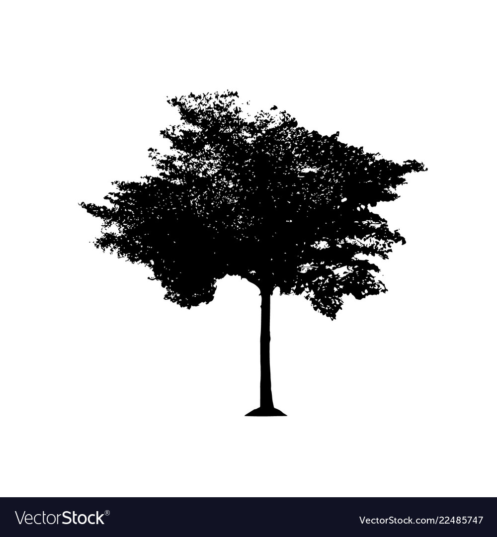 Tree 04 vector image Tree 04