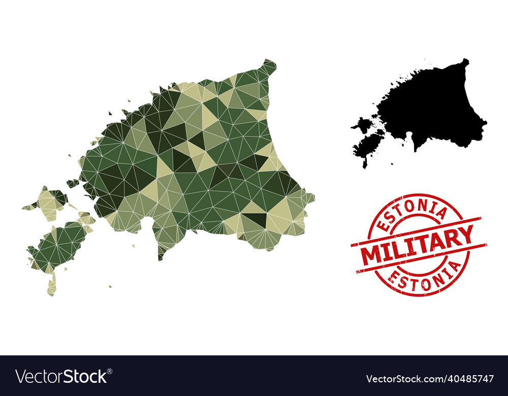 Triangle mosaic map of estonia and scratched Vector Image