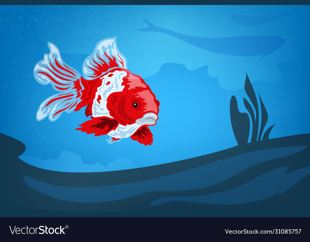 19  Brightly Colored Fish PresleyNiki
