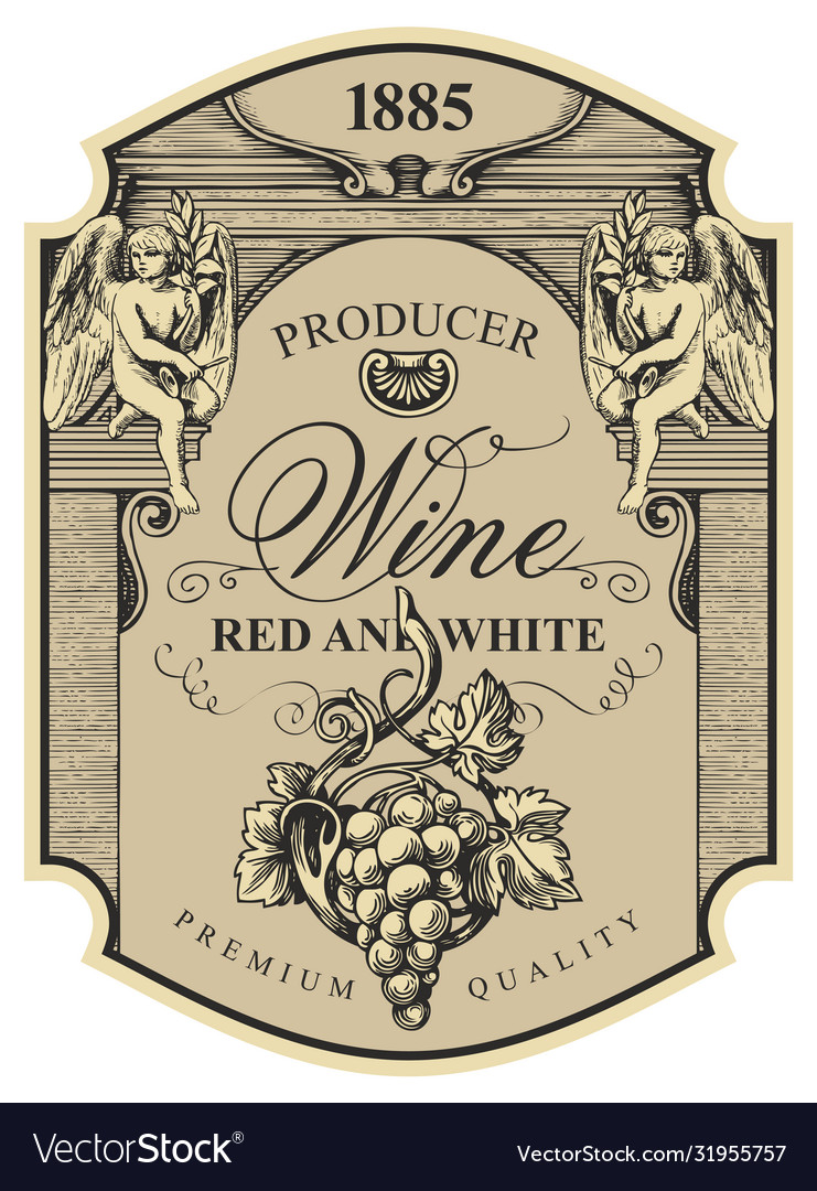 Hand drawn wine label with grapes and angels Vector Image