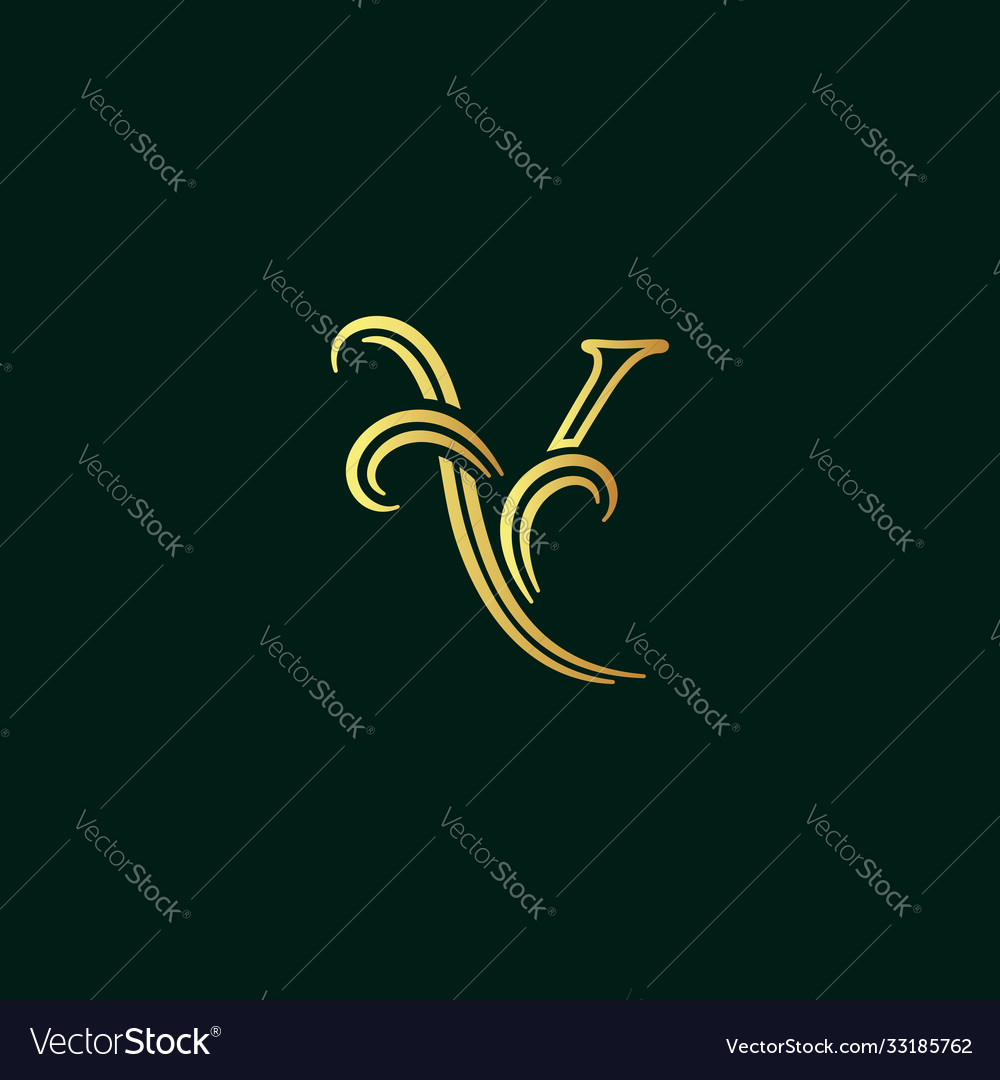 Elegant initial line font y vector image Elegant initial line font y