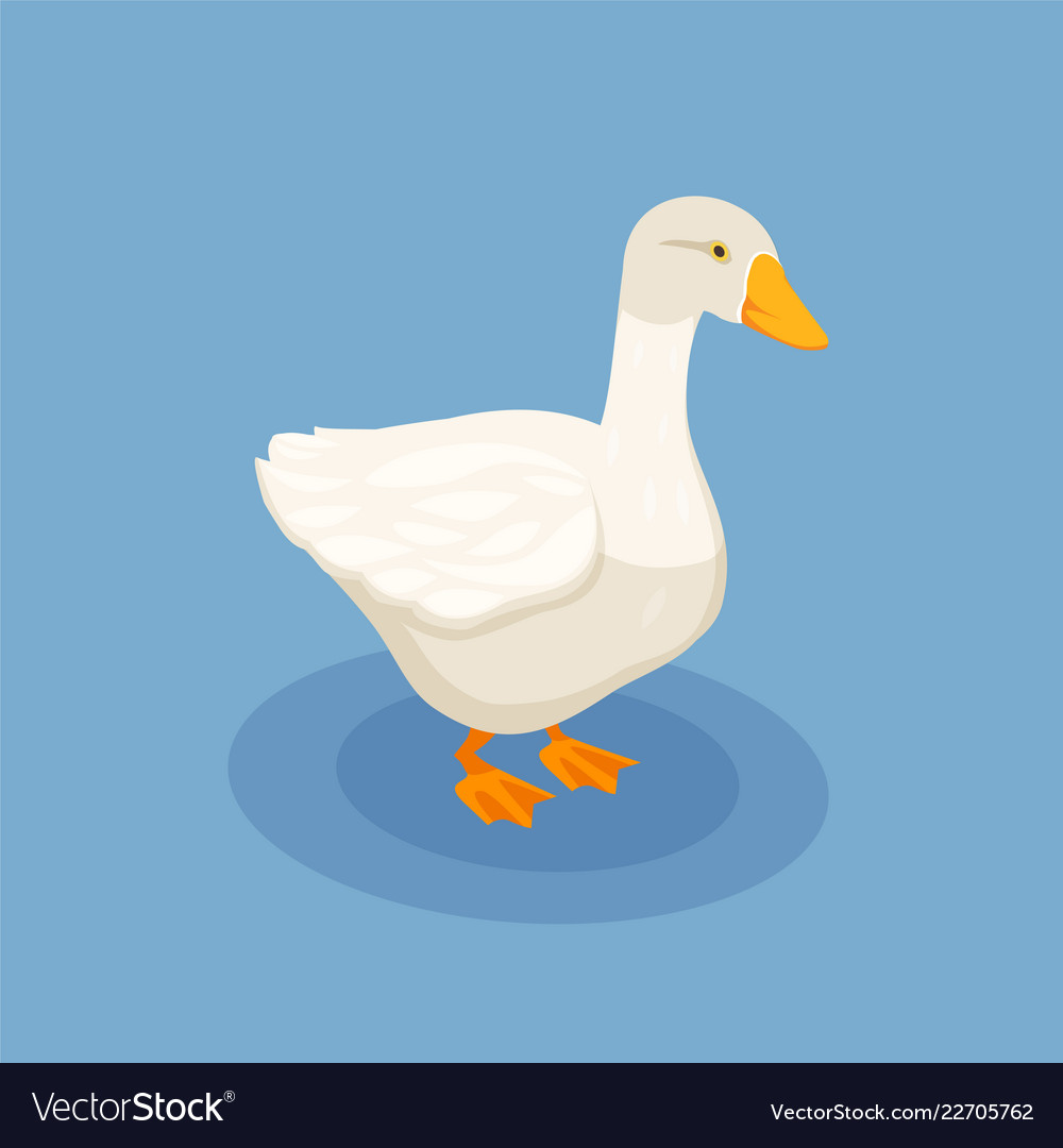 Goose doodles set cute geese sketch hand drawn Vector Image